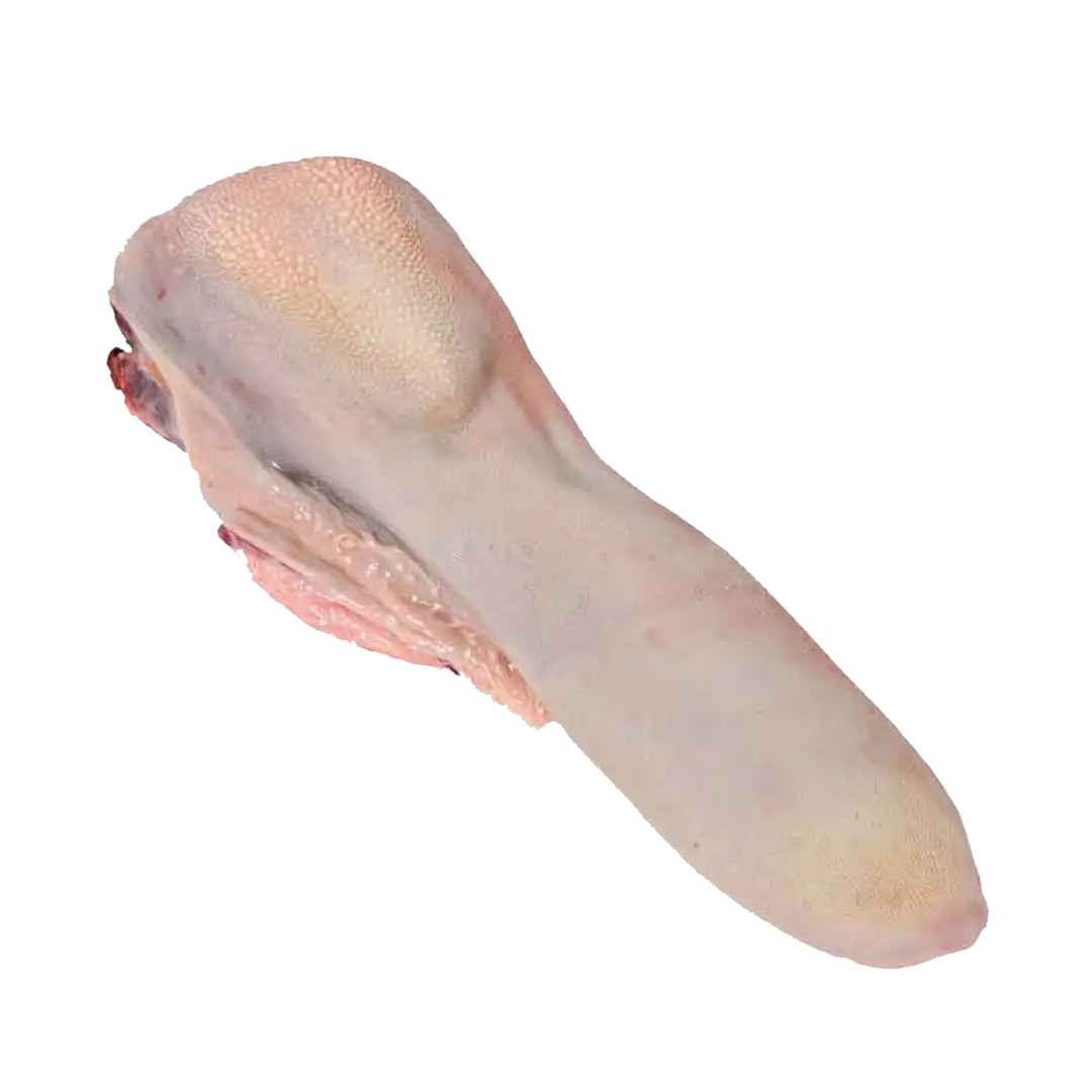 DANA DIL