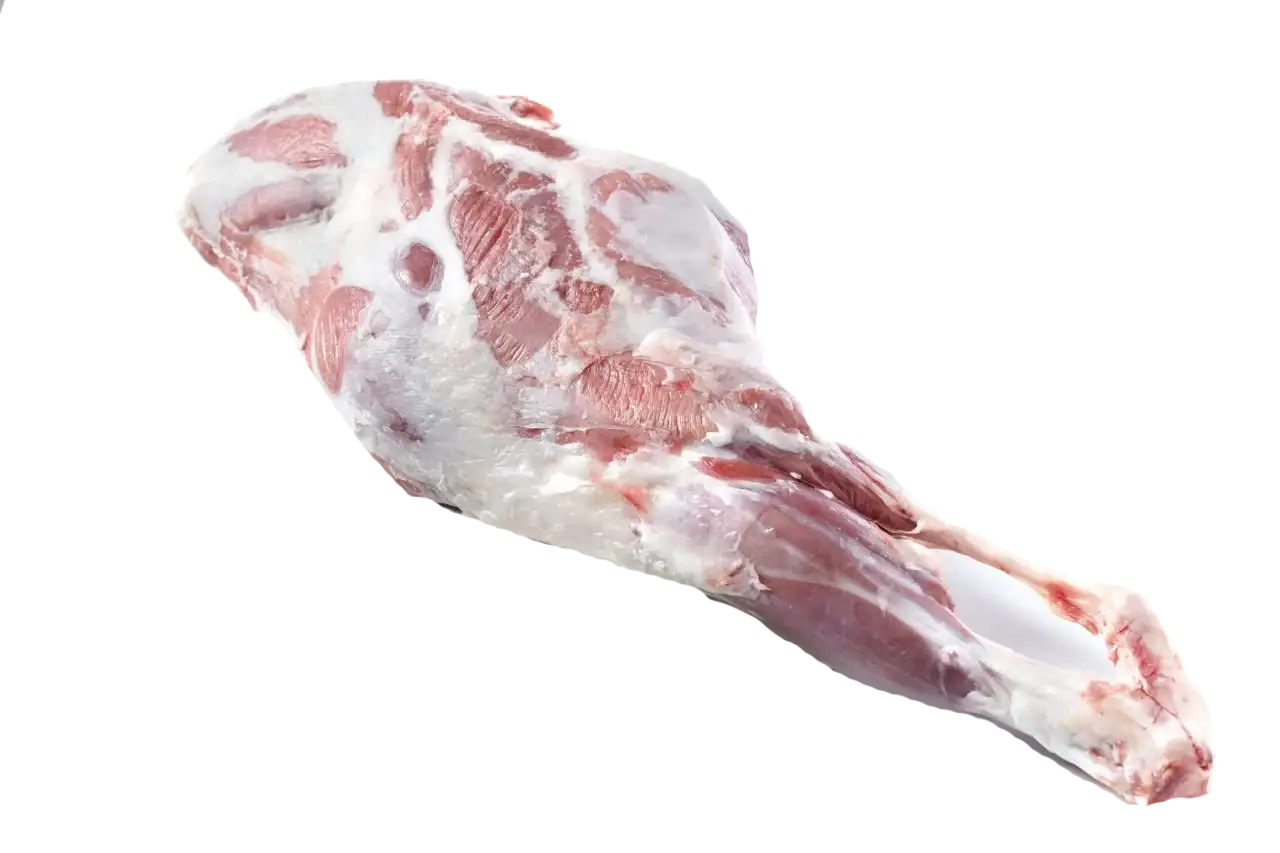 KUZU BUT