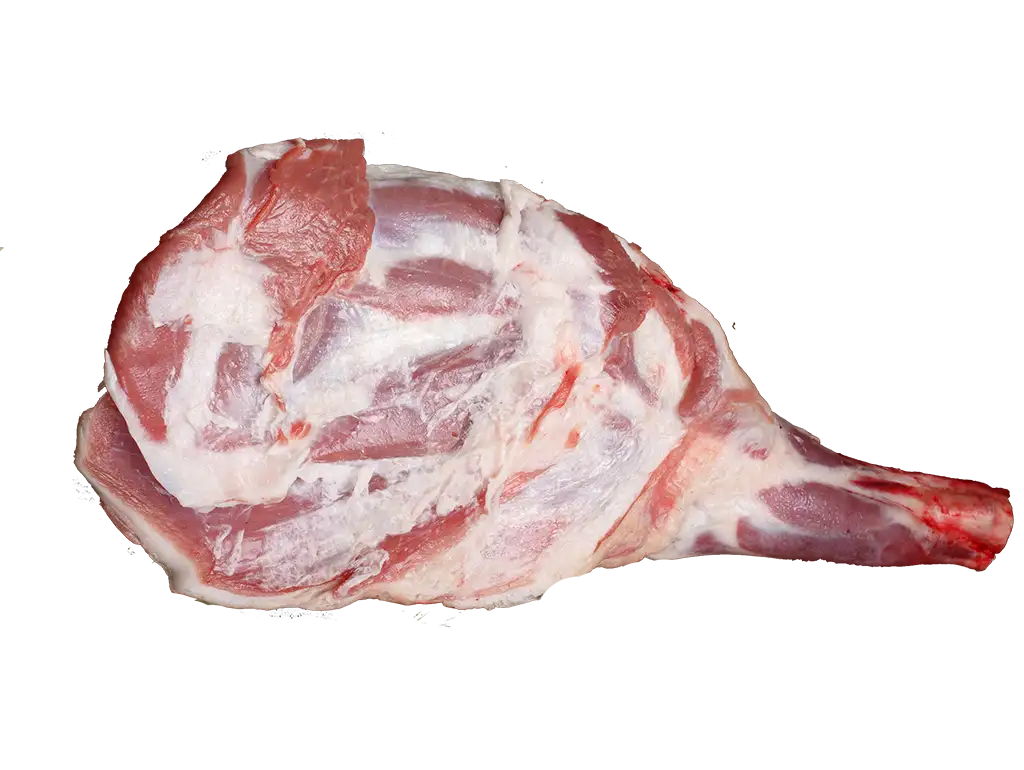KUZU KOL