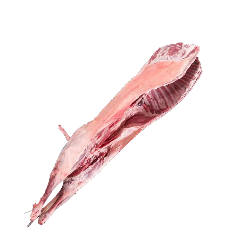 KUZU MANKEN